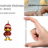 2025 Arizona Cardinals Advent Calendar -2D Acrylic